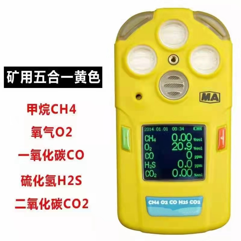 CD5多参数气体检测仪